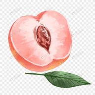 WWW,935se·COM网站APP最新版